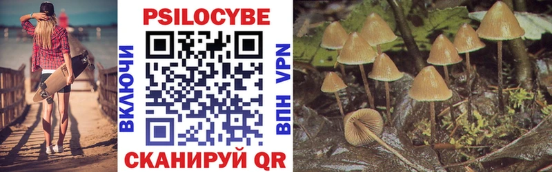 Галлюциногенные грибы MAGIC MUSHROOMS  продажа наркотиков  Белорецк 